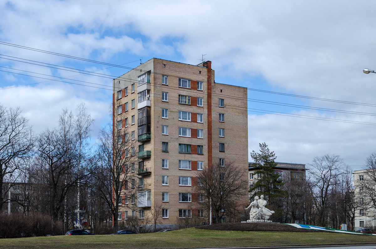 Сестрорецк, Приморское шоссе, 290