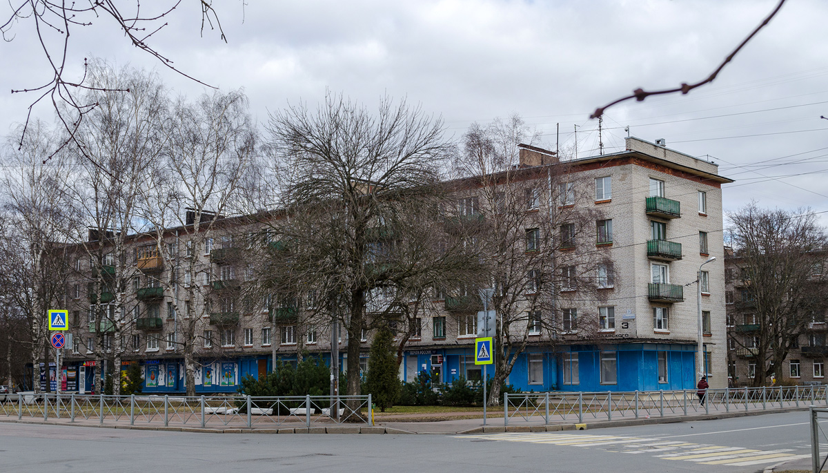 Сестрорецк, Улица Володарского, 3