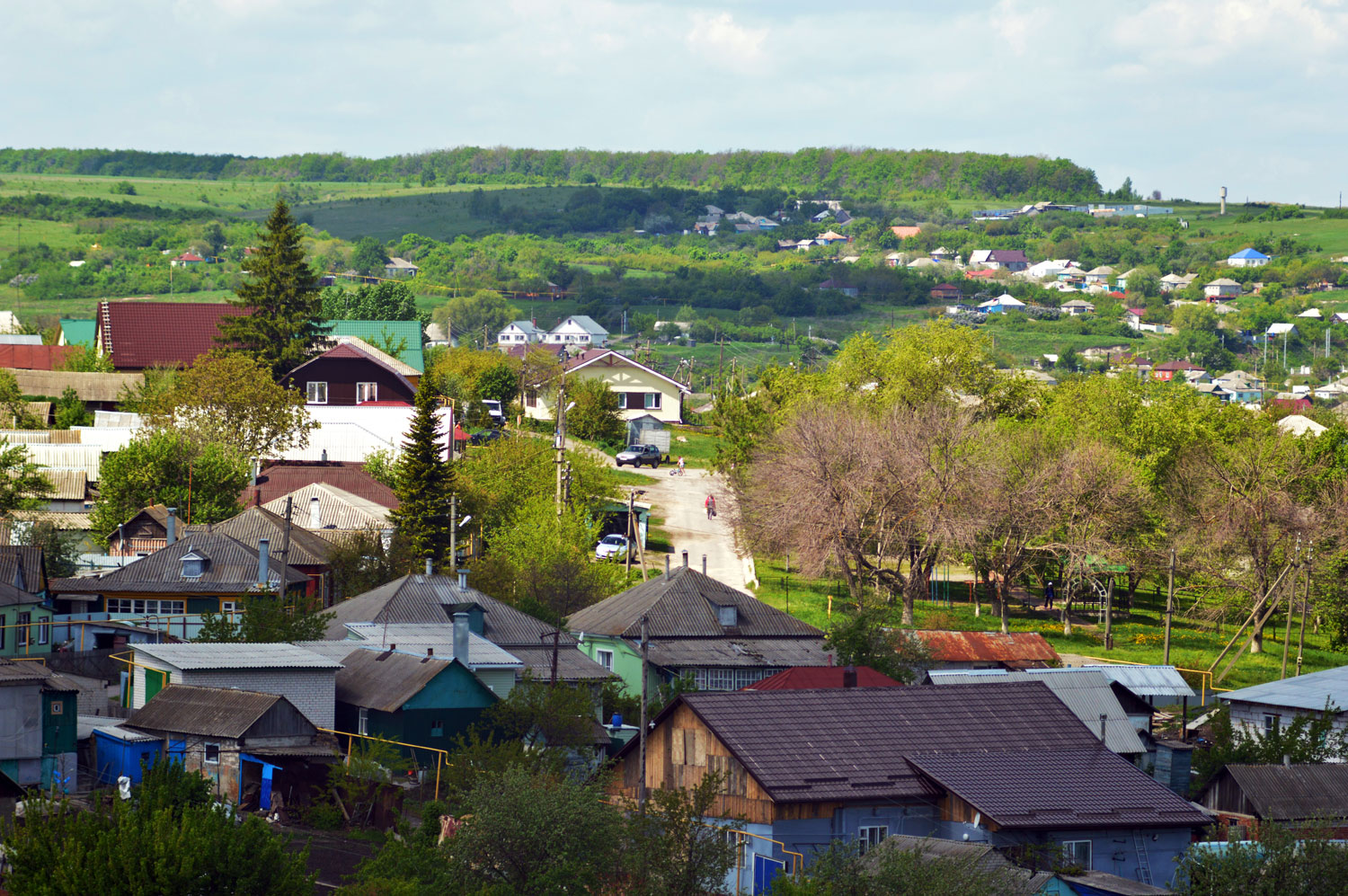 Лиски — Панорамы