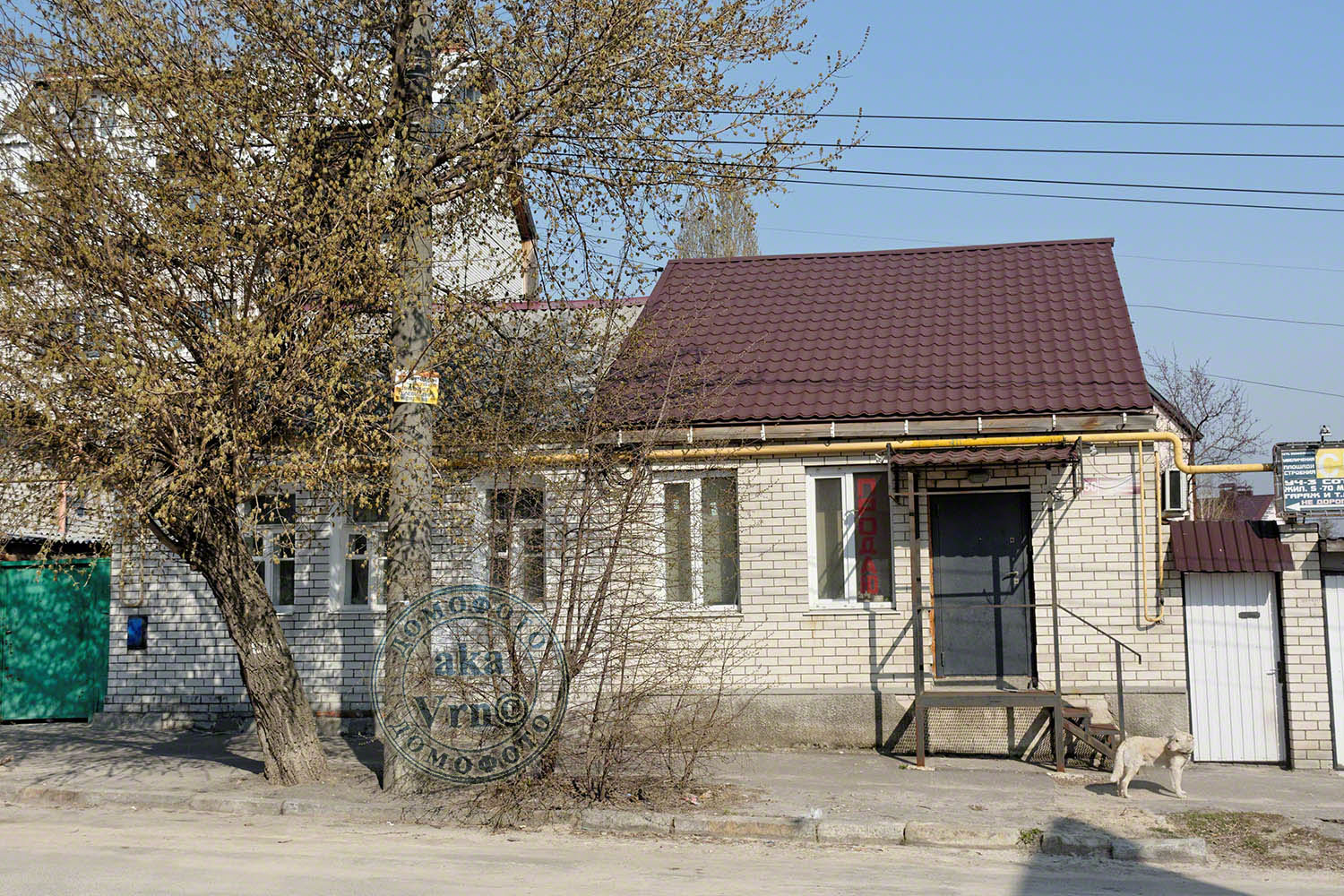 Воронеж, Улица Ленина, 50