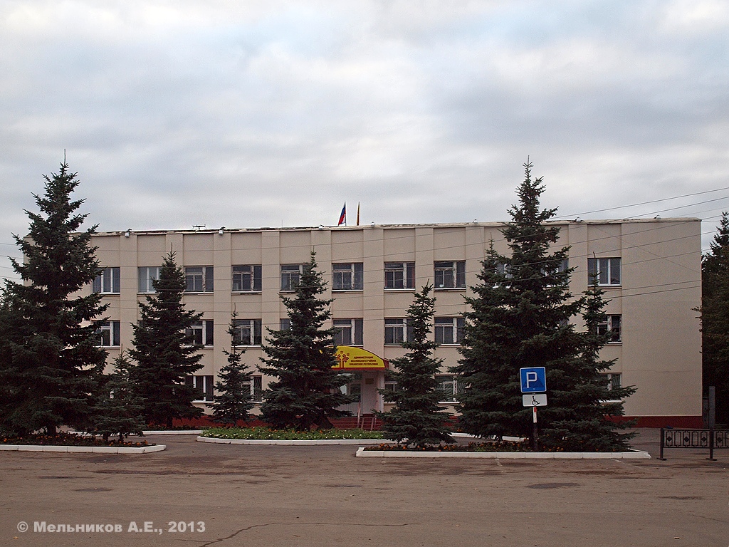 Козловка, Улица Ленина, 55