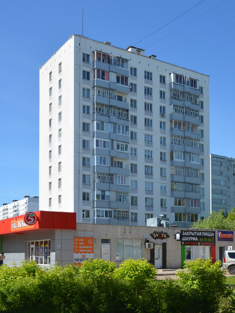Набережные Челны, Московский проспект, 133