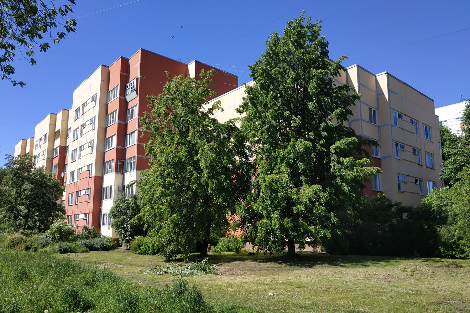 Сестрорецк, Улица Инструментальщиков, 15