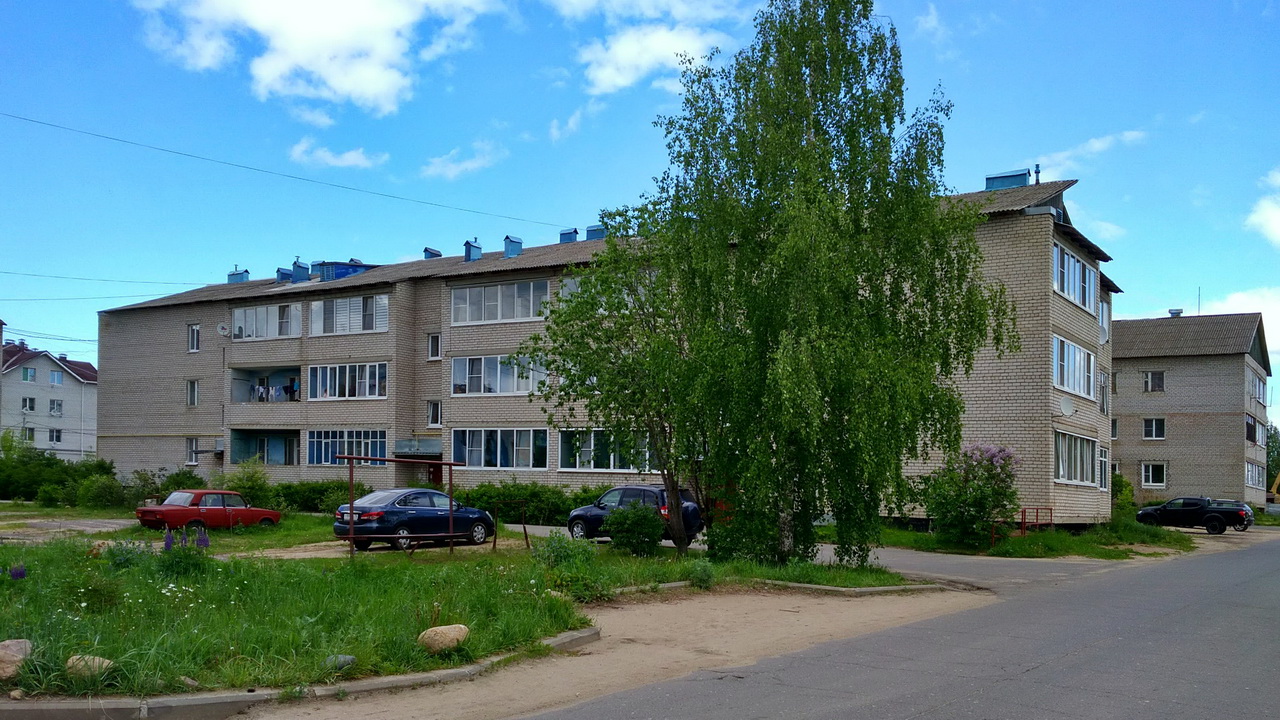 Некрасовское, Улица Гагарина, 5