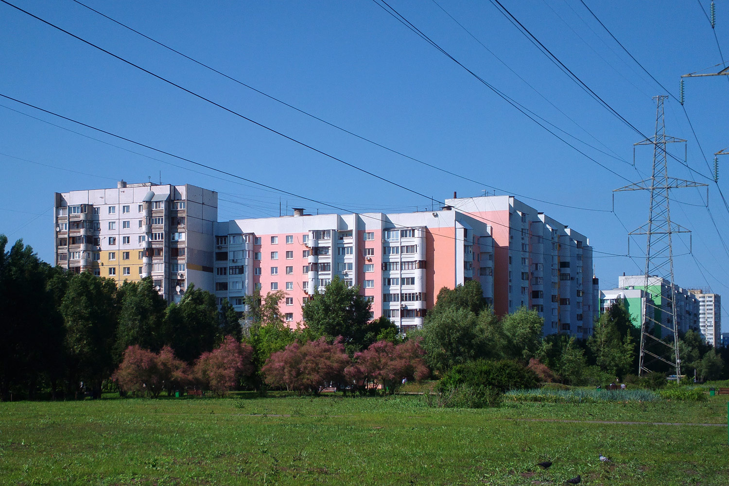 Самара, Ново-Садовая улица, 244; Ново-Садовая улица, 246