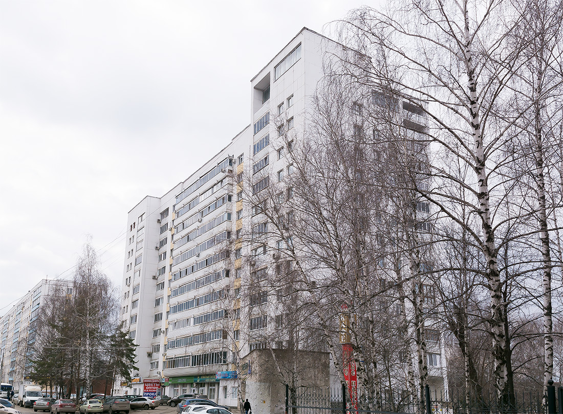 Ufa, Улица Менделеева, 217