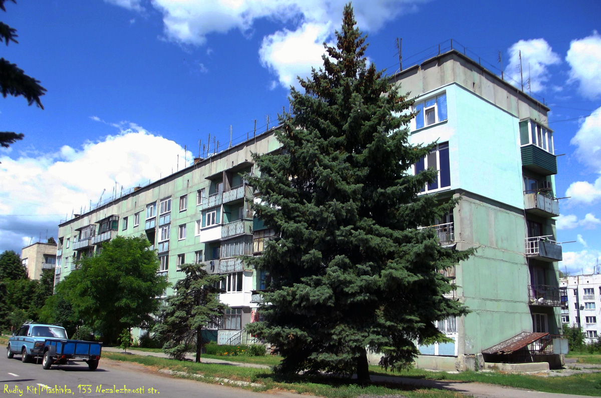 Машевка, улица Независимости, 133