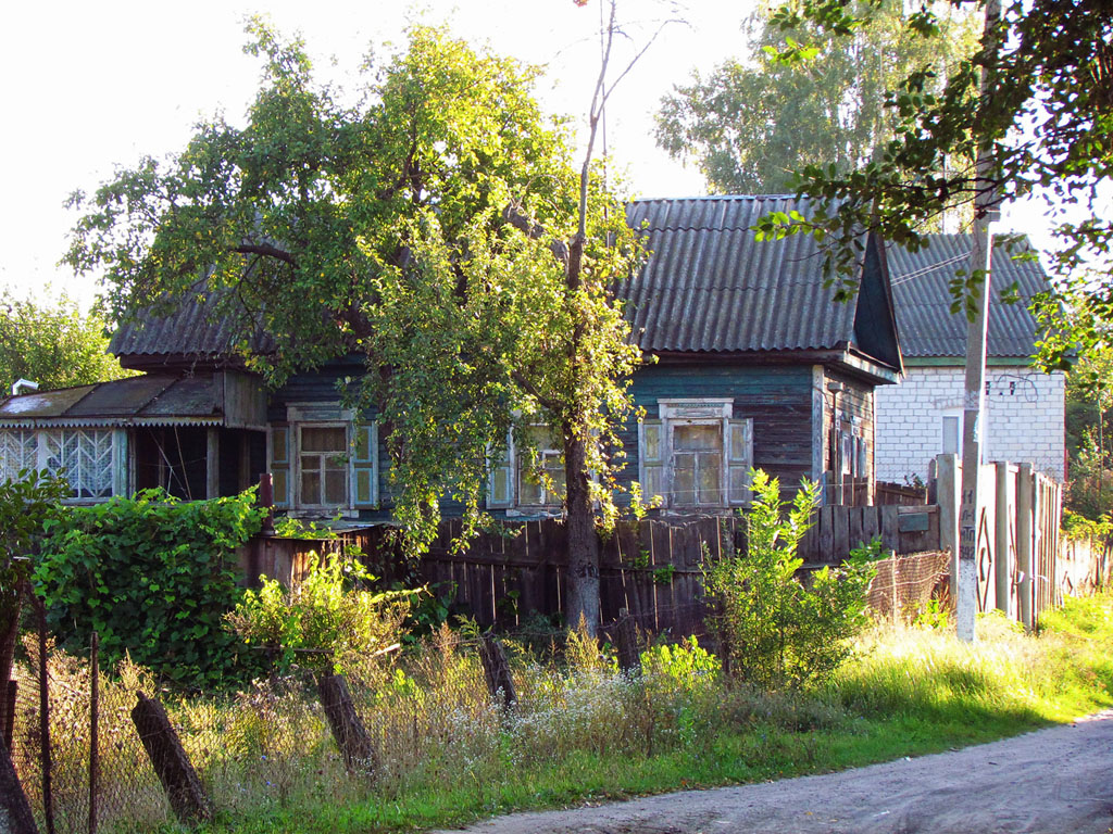 Voronizh, Озёрная улица, ?