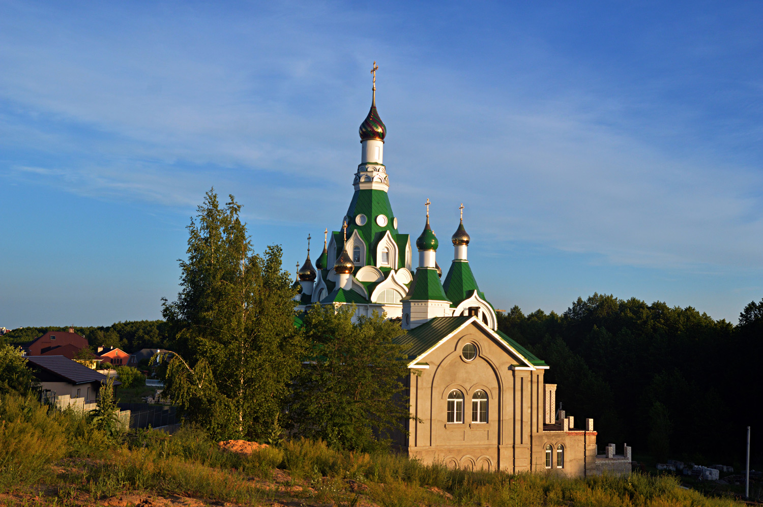 Новоусманский район, прочие н.п., с. Бабяково, Зеркальная улица, 1