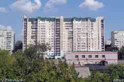393 КБ