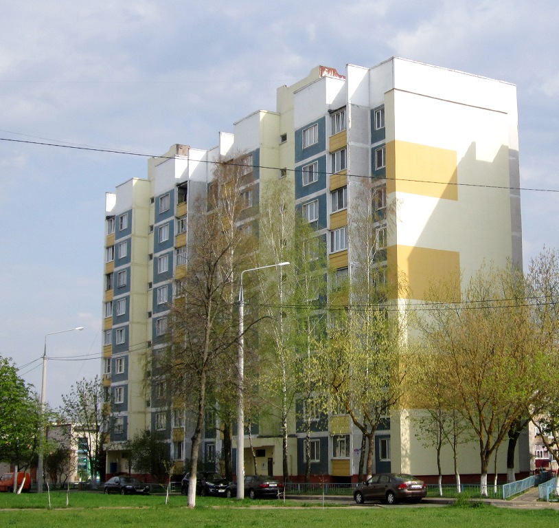 Рогачёв, Улица Богатырёва, 119