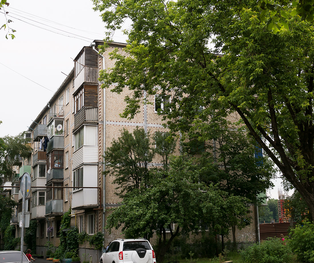 Псков, Спортивная улица, 5