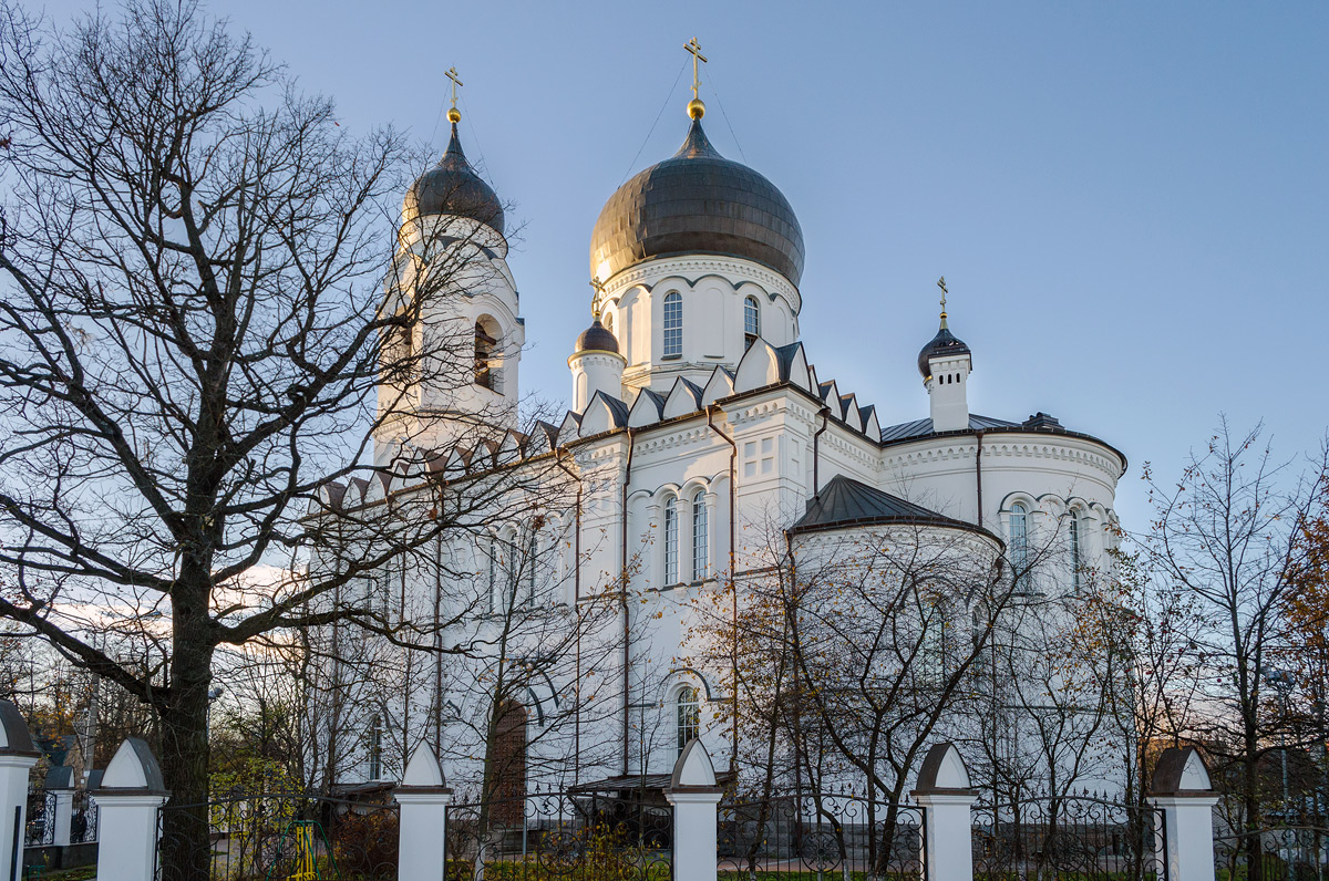 Ломоносов, Дворцовый проспект, 61