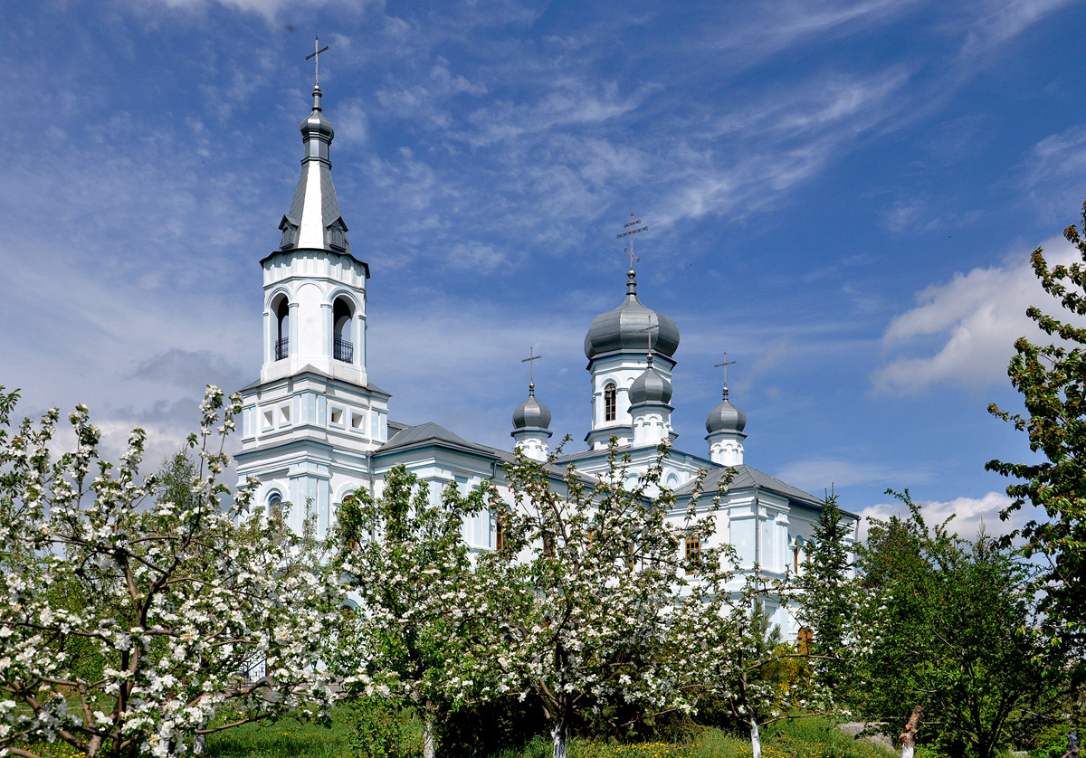 Краснокутск, Улица Мира, 126