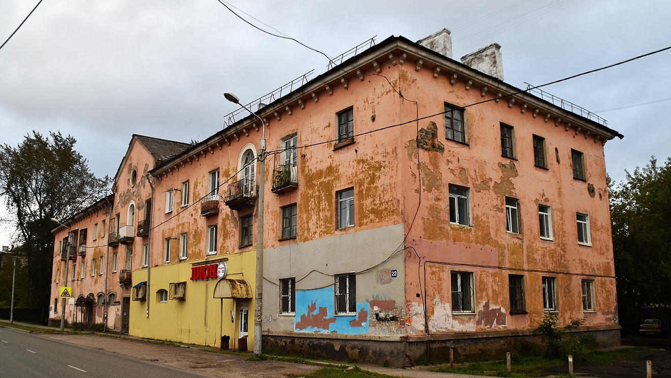 Пермь, Боровая улица, 22