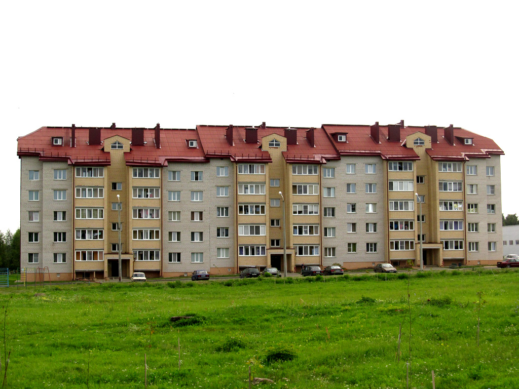 Быхов, Улица Костенича, 2