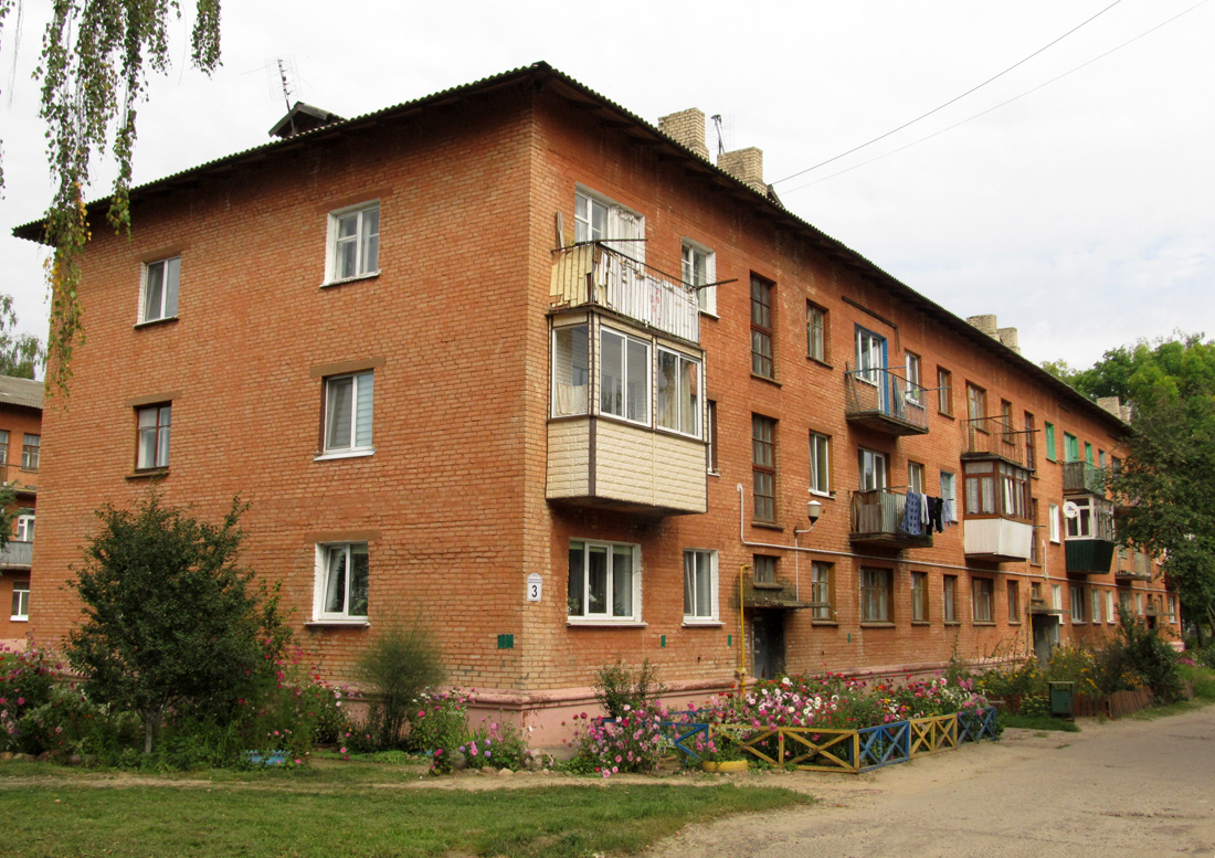 Быхов, Авиационная улица, 3