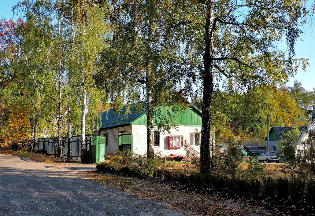 Васищево, Улица Шевченко, 71/1