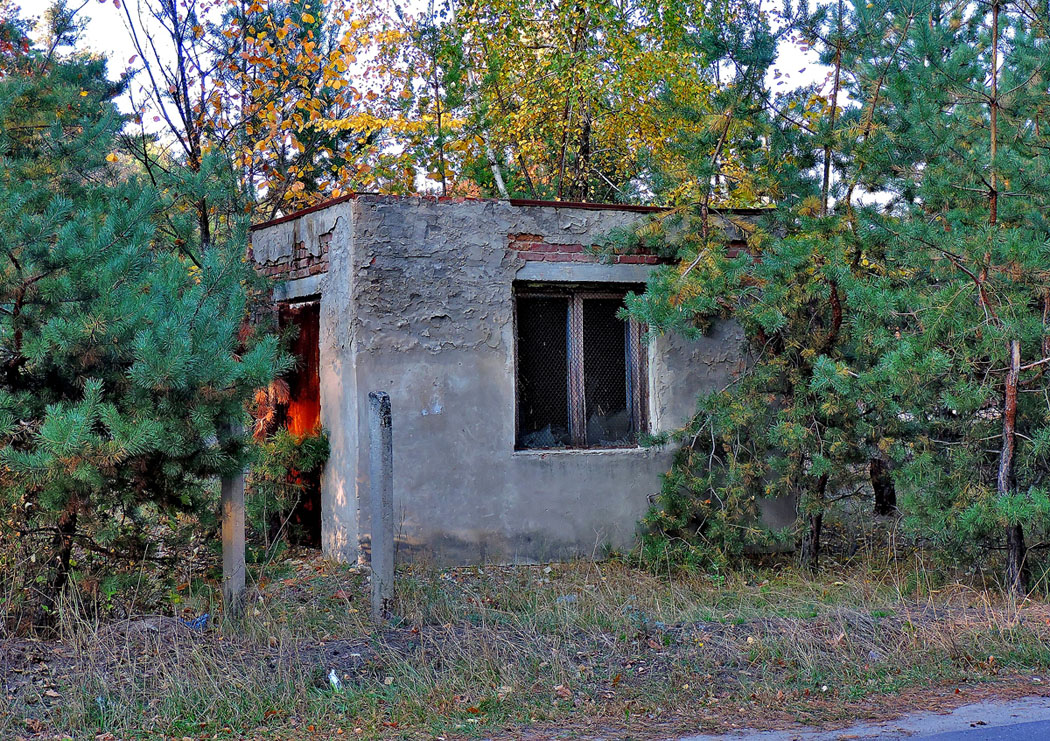 Васищево, Улица Шевченко, 92*