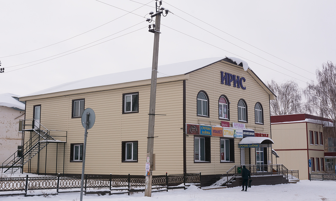 Благоварский район, прочие н.п., с. Языково, улица Пушкина, 13А