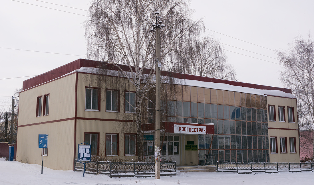 Благоварский район, прочие н.п., с. Языково, улица Пушкина, 13