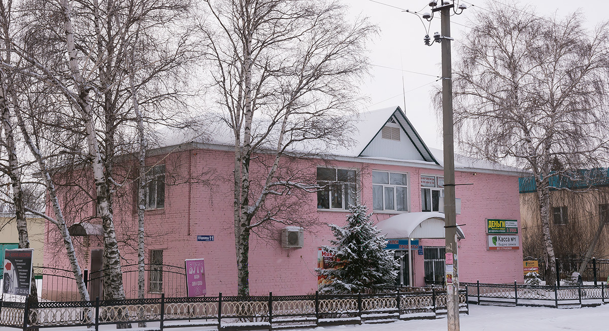 Благоварский район, прочие н.п., с. Языково, улица Пушкина, 11
