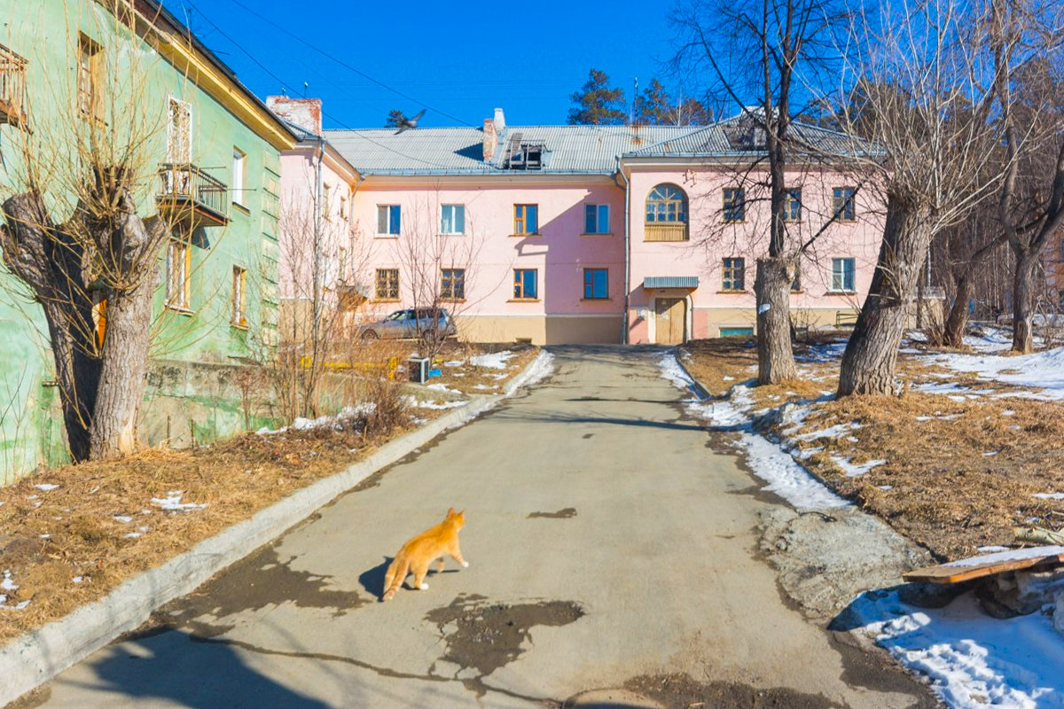 Новоуральск, Улица Герцена, 11
