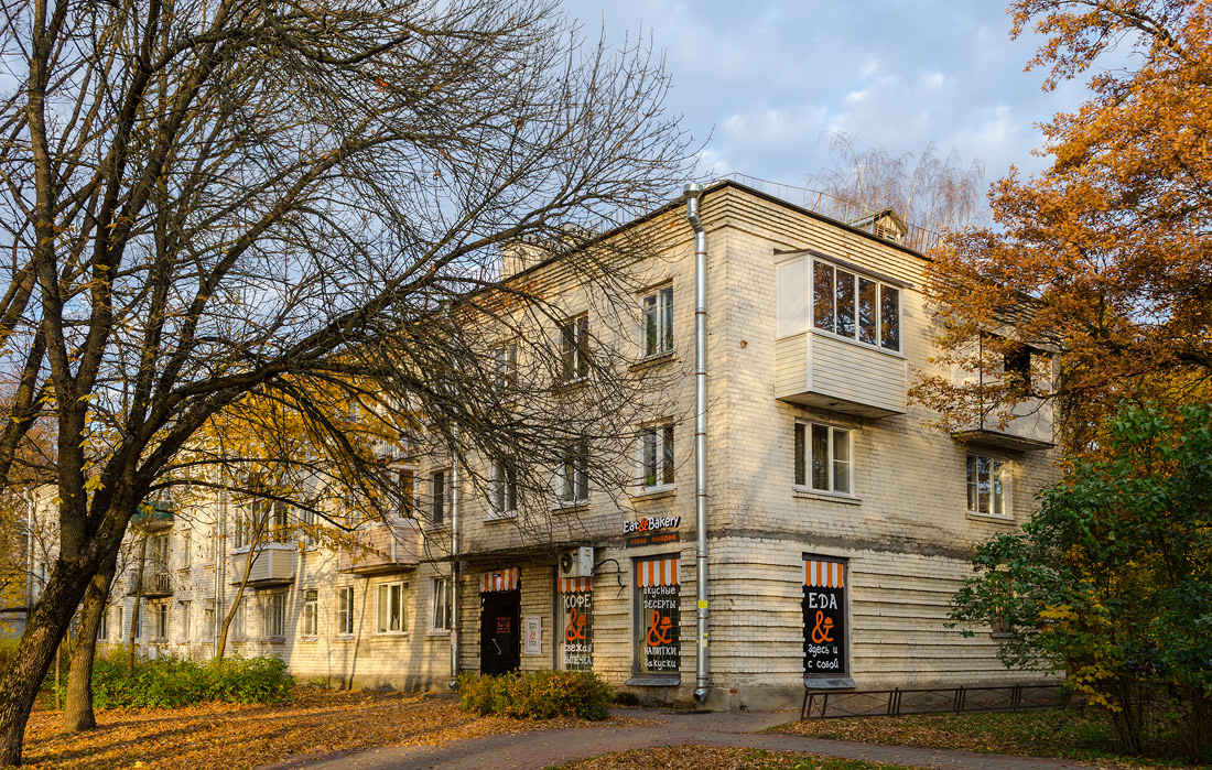 Павловск, Лебединая улица, 20