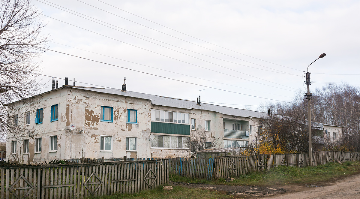 Благоварский район, прочие н.п., с. Языково, улица Друненкова, 20