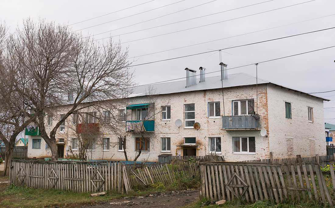 Благоварский район, прочие н.п., с. Языково, улица Чапаева, 19