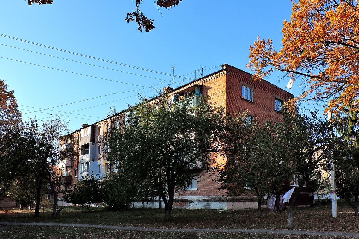 Кочеток, Улица Литвинова, 42