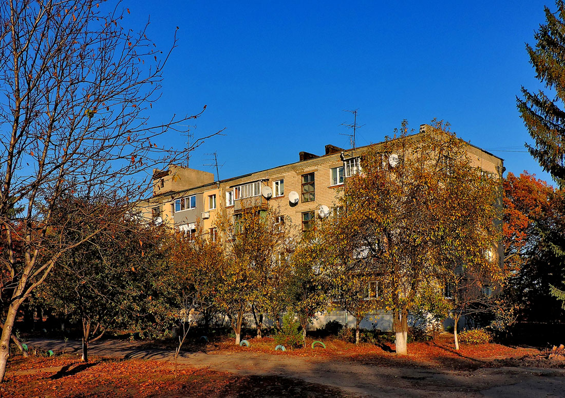 Кочеток, Улица Литвинова, 51