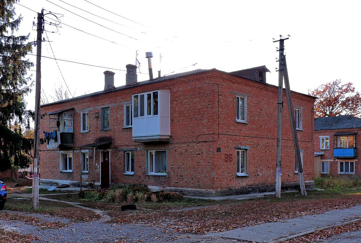 Кочеток, Улица Литвинова, 36