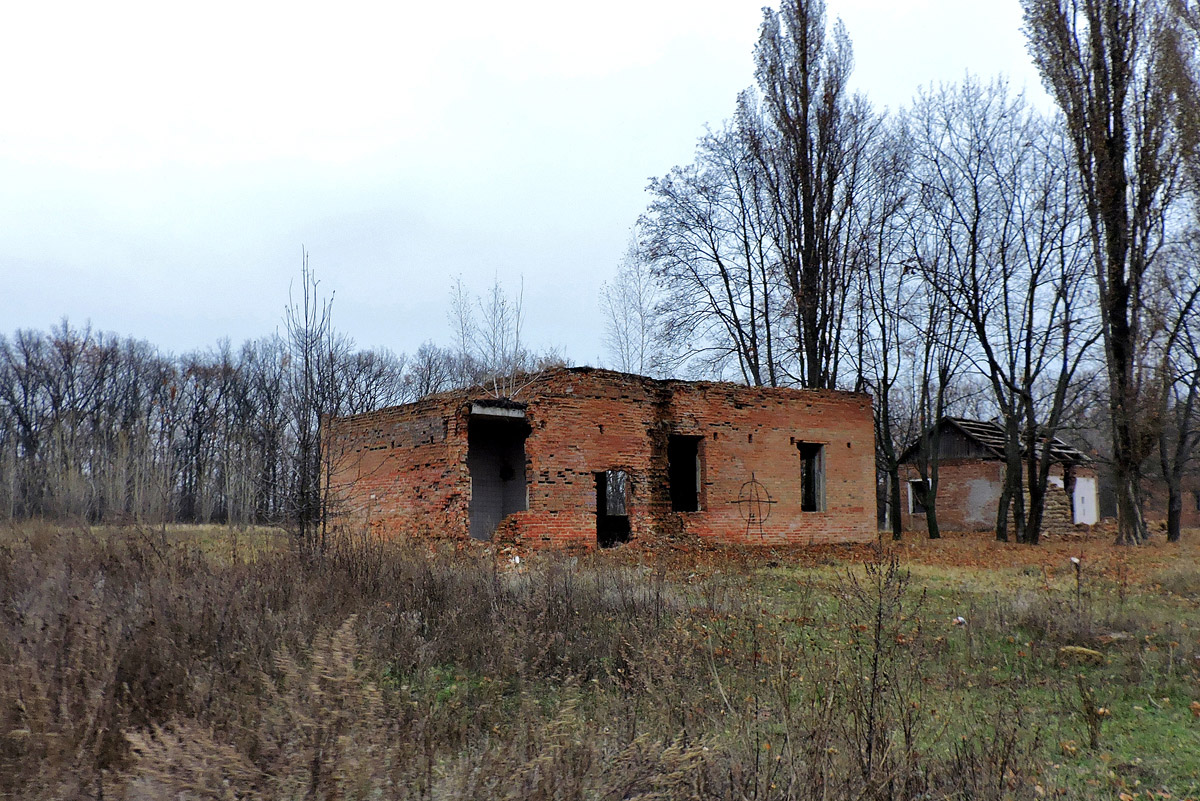 Старый Салтов, Международная улица, 2