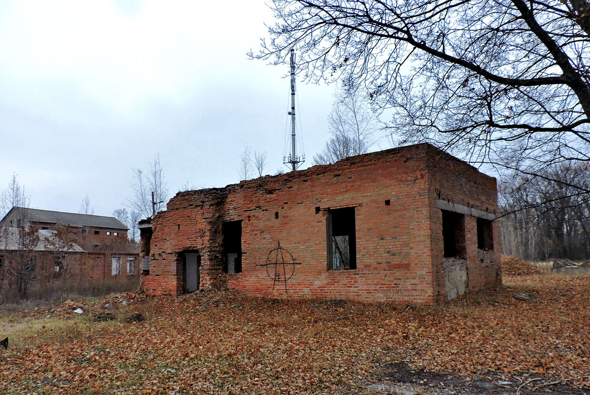 Старый Салтов, Международная улица, 2