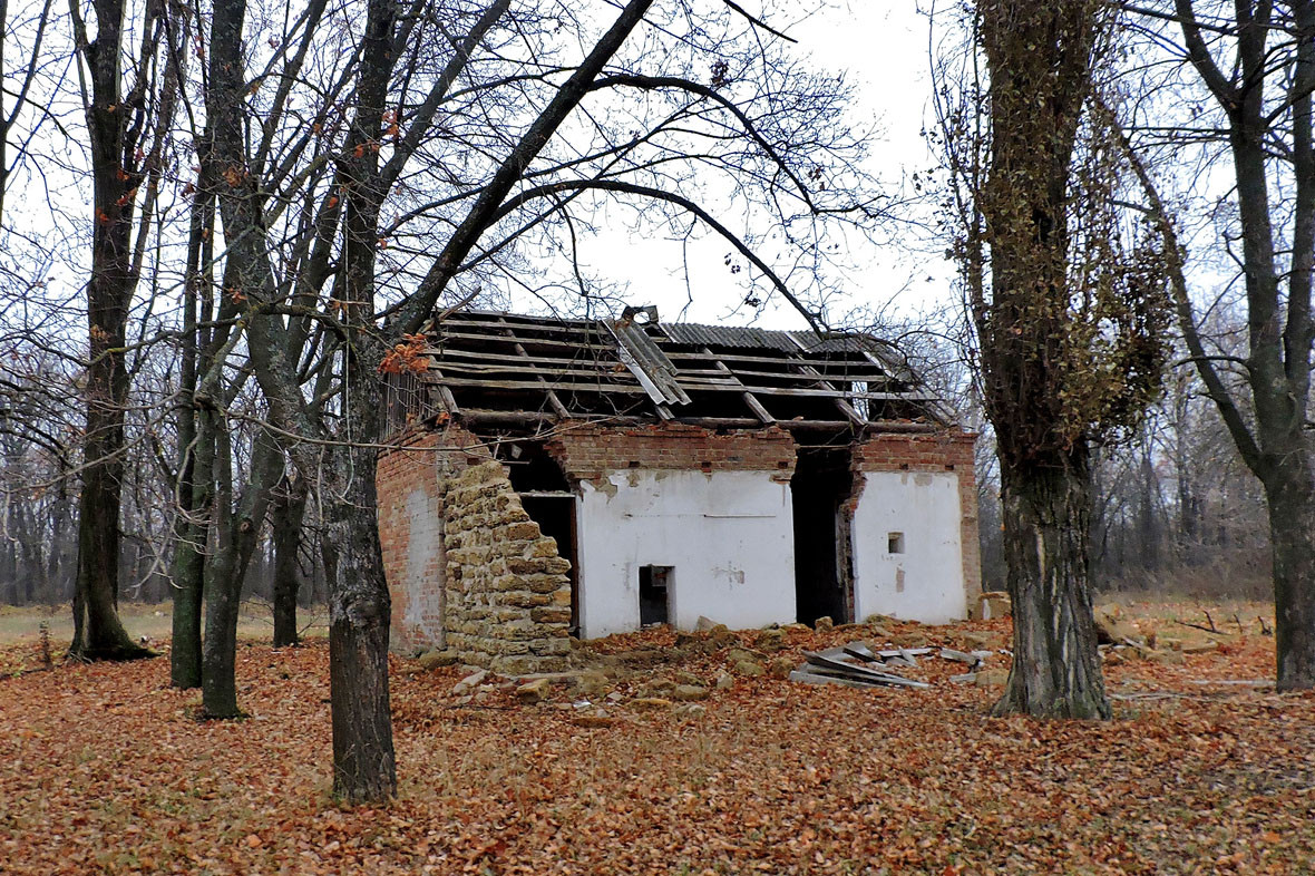 Старый Салтов, Международная улица, 2
