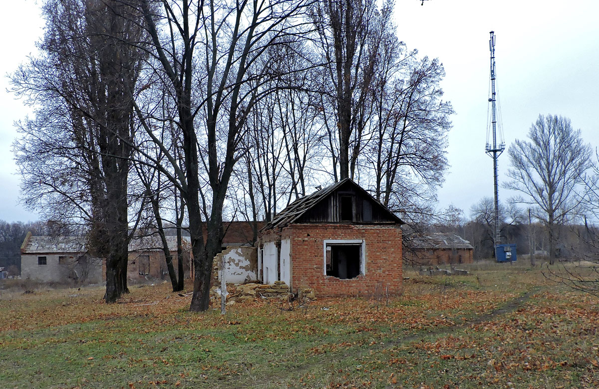 Старый Салтов, Международная улица, 2