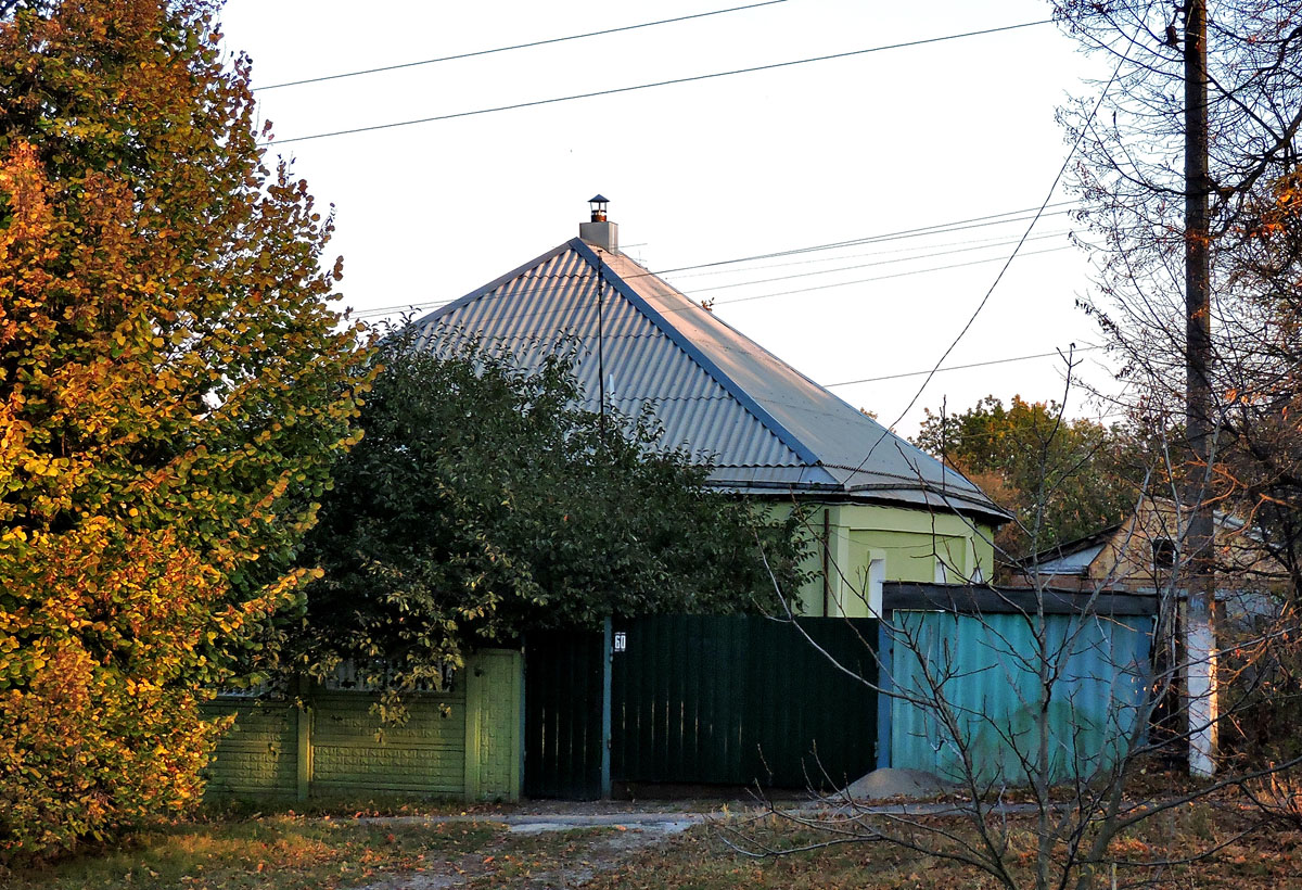 Кочеток, Радужная улица, 60