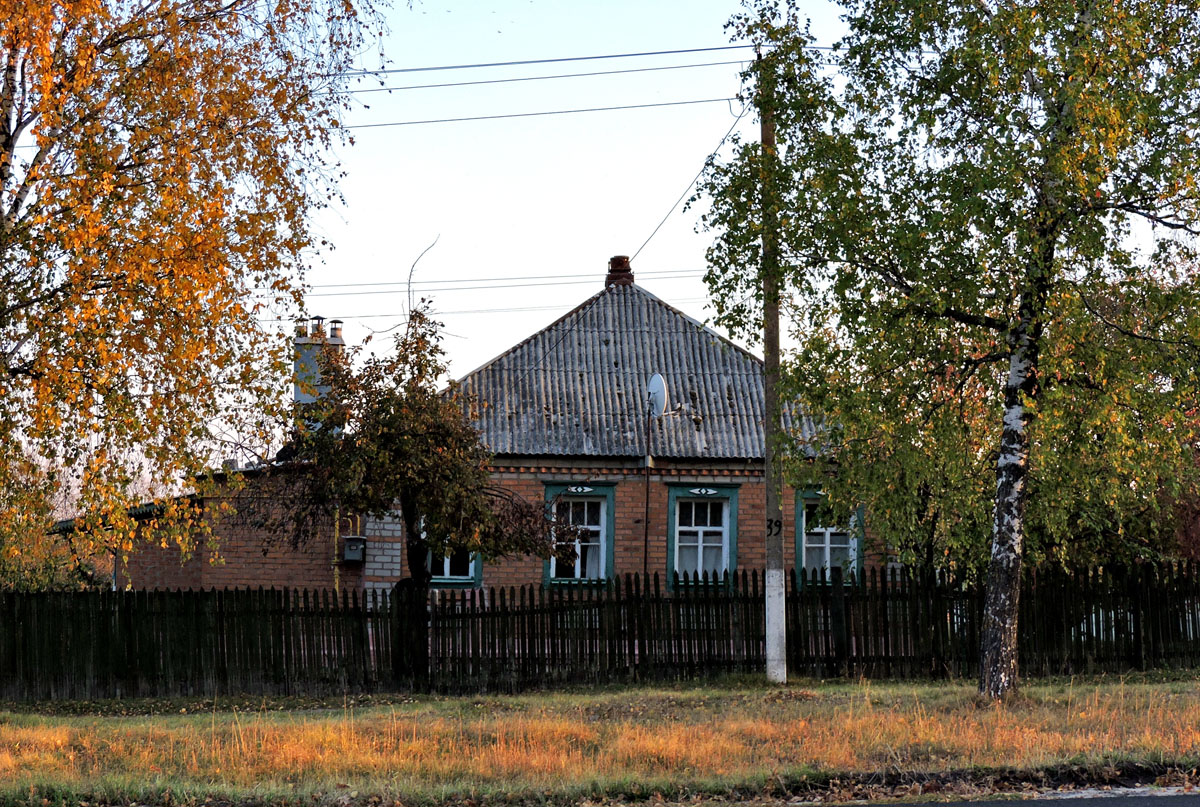 Кочеток, Радужная улица, 58