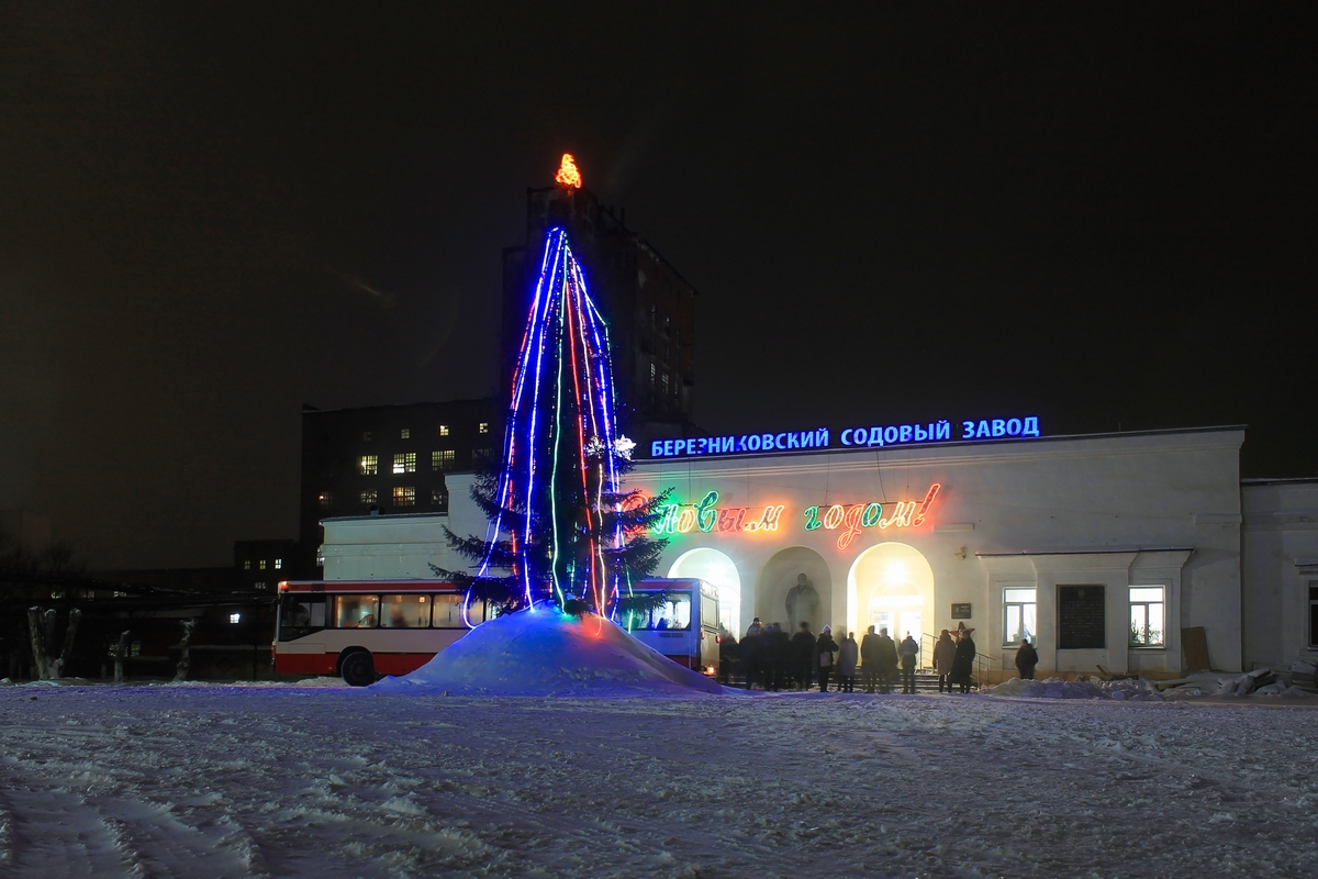 Березники, Новосодовая улица, 19