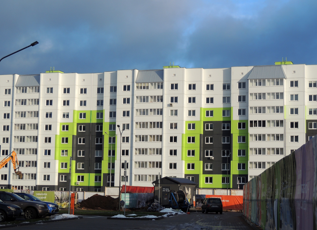 Копище, Улица Викентия Карповича, 2