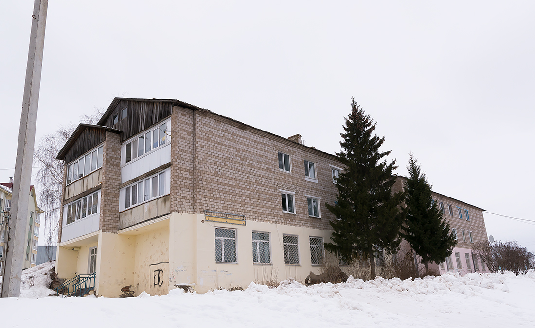Уфимский район, прочие н.п., с. Михайловка, улица Ленина, 65