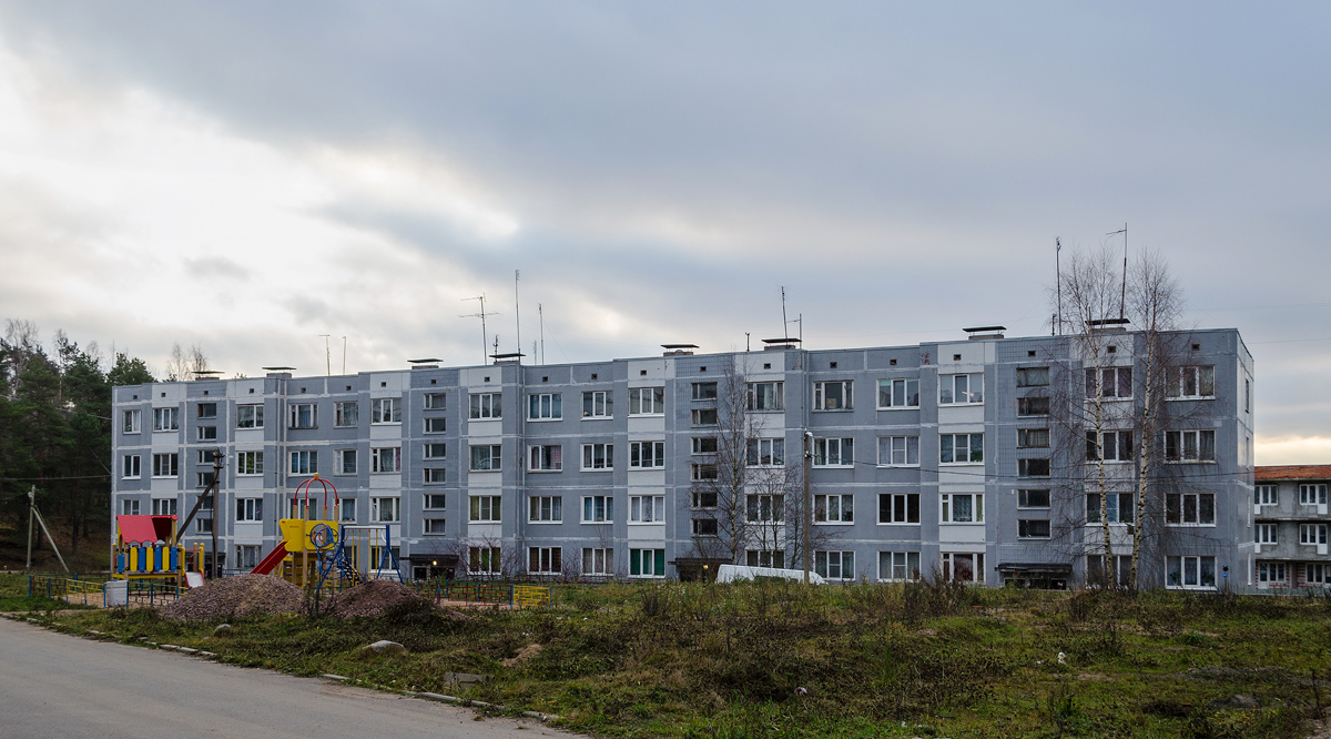 Vyborg District, other localities, Поляны, Выборгское шоссе, 57