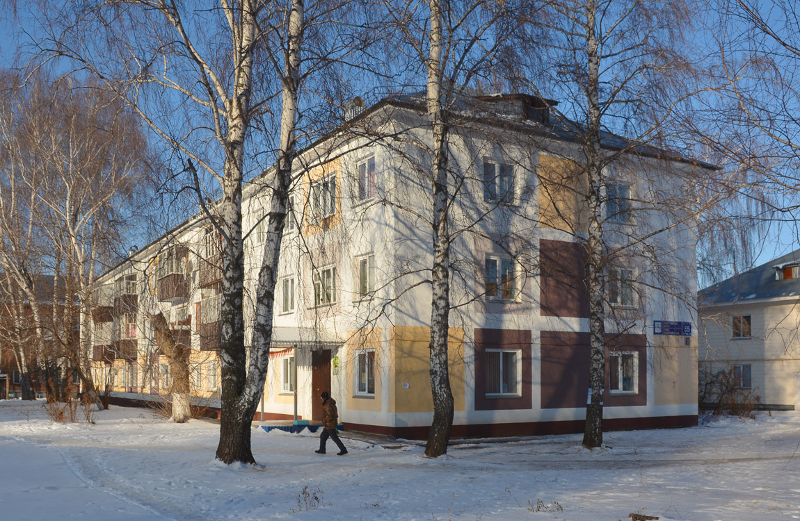 Набережные Челны, Улица Хади Такташа, 55