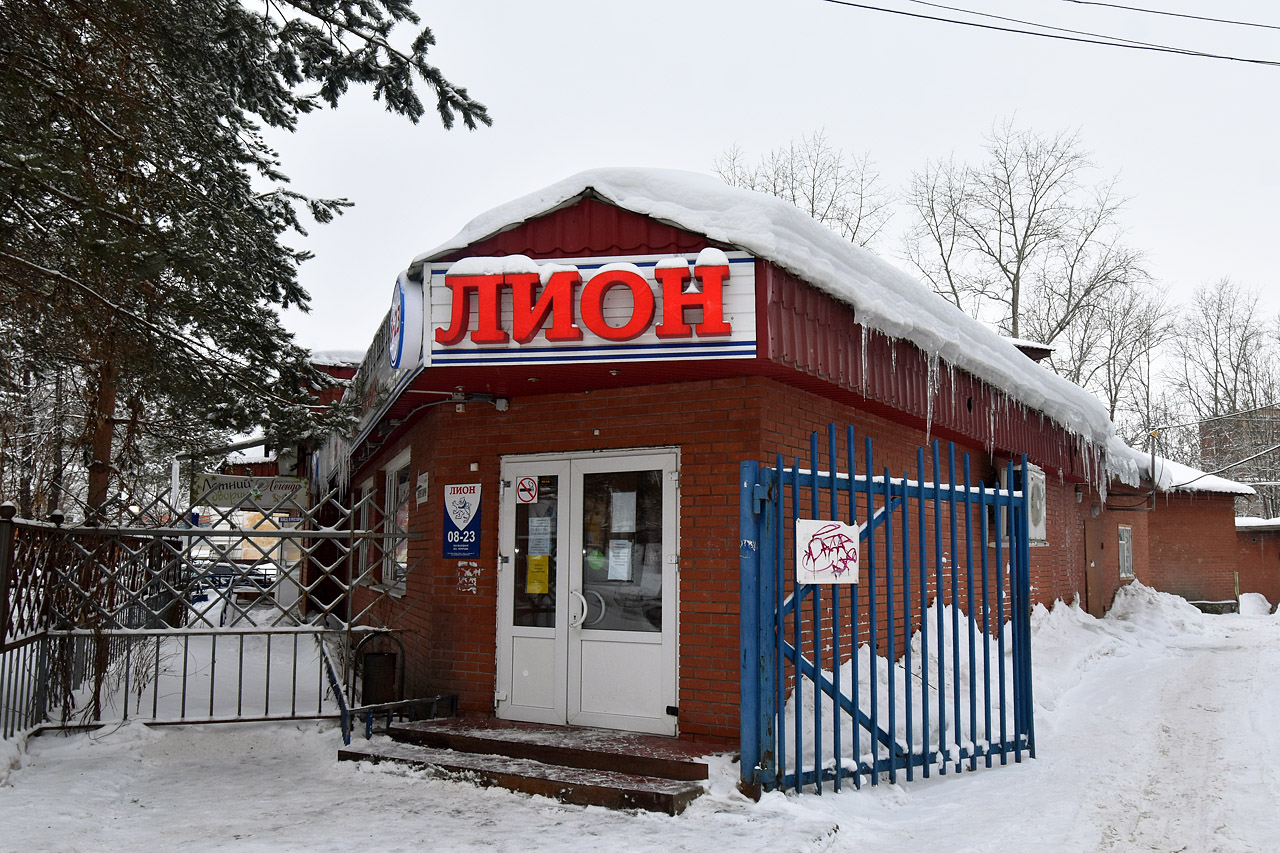 Пермь, Улица Академика Веденеева, 41