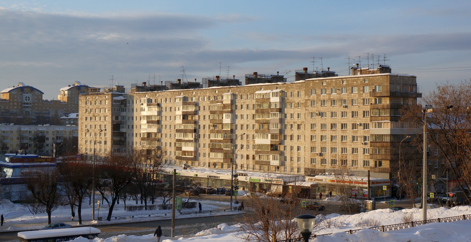 Пермь, Улица Крисанова, 19