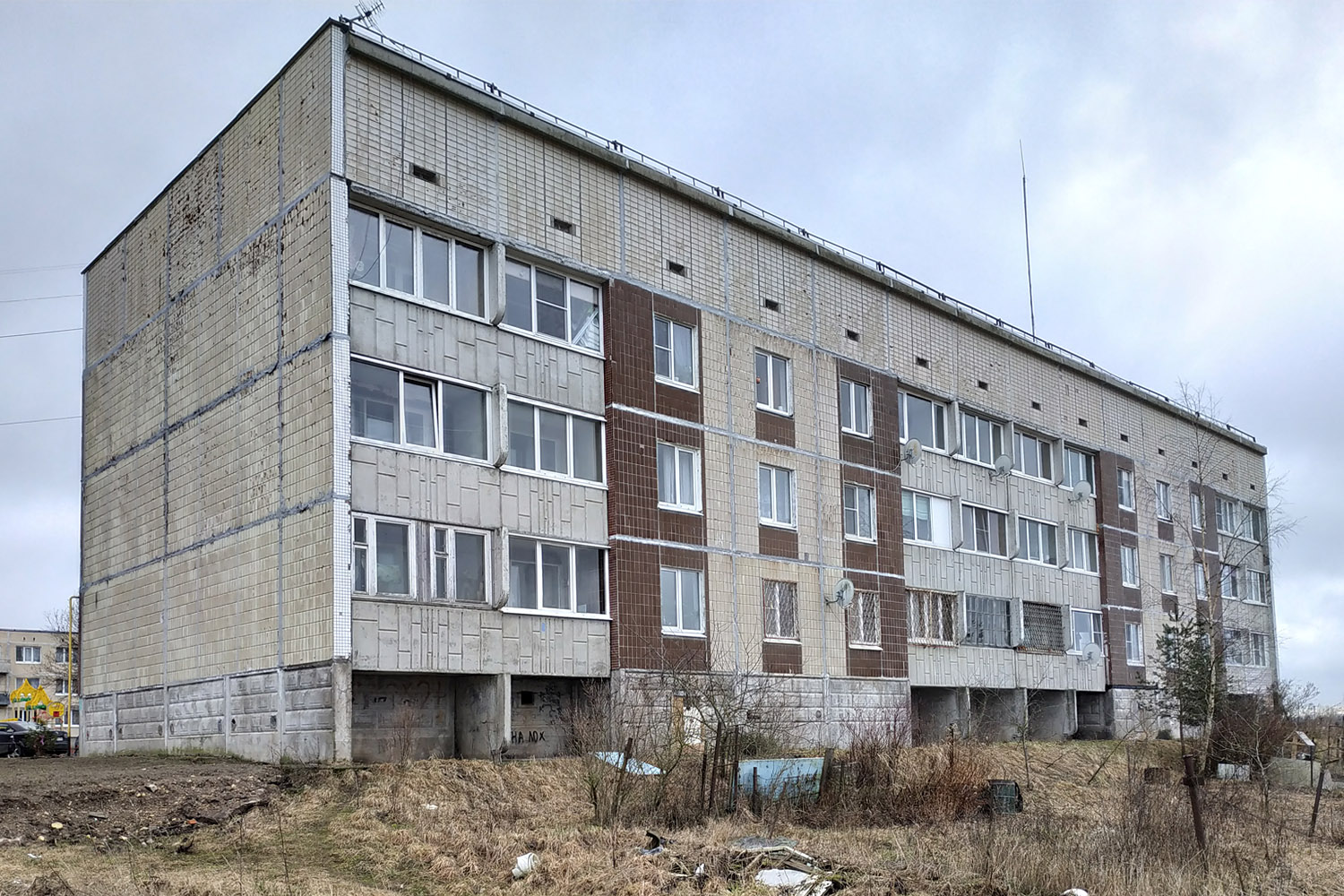 Гатчинский округ, прочие н. п., Большое Рейзино, 37