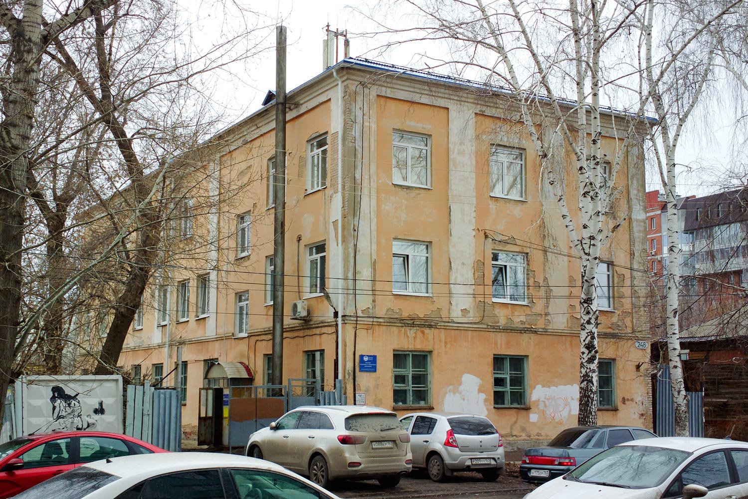 Самара, Улица Пушкина, 248