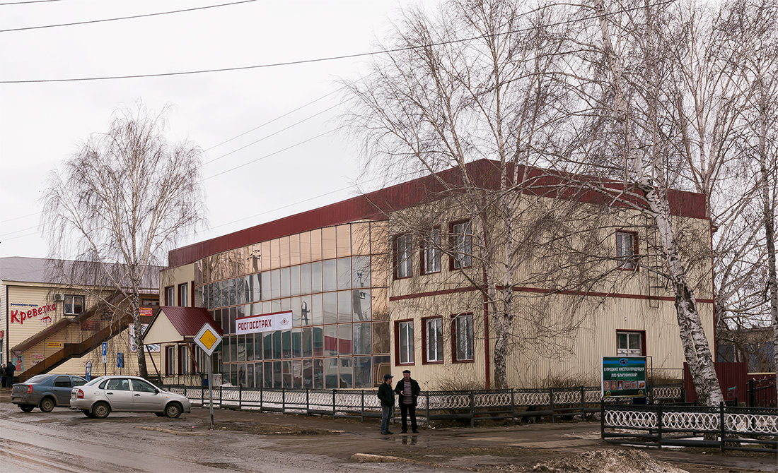 Благоварский район, прочие н.п., с. Языково, улица Пушкина, 13