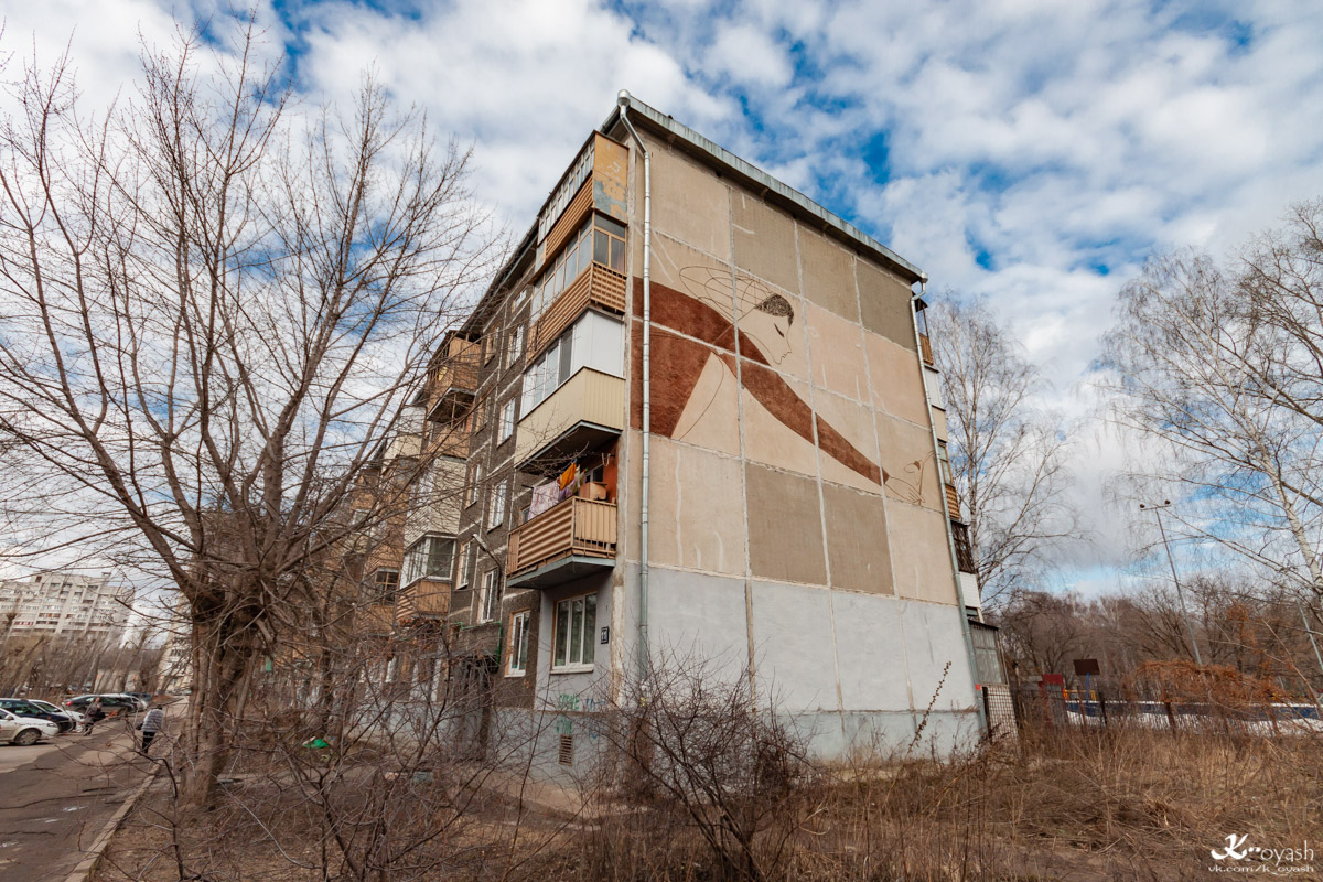 Казань, Улица Курчатова, 11